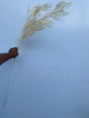 Off Waiter Spray Long Stems