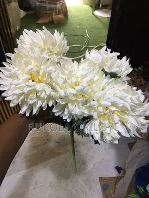 White Crystal Flower Rentals Service