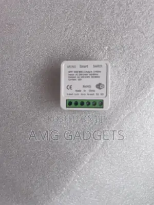 Diy Smart Switch