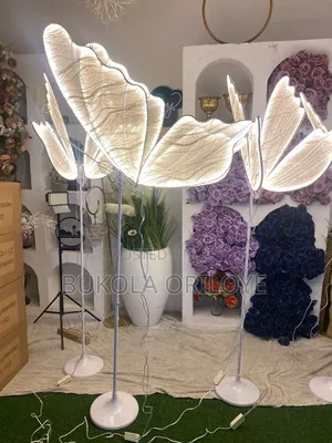 Led Butterfly Light Rentals Service