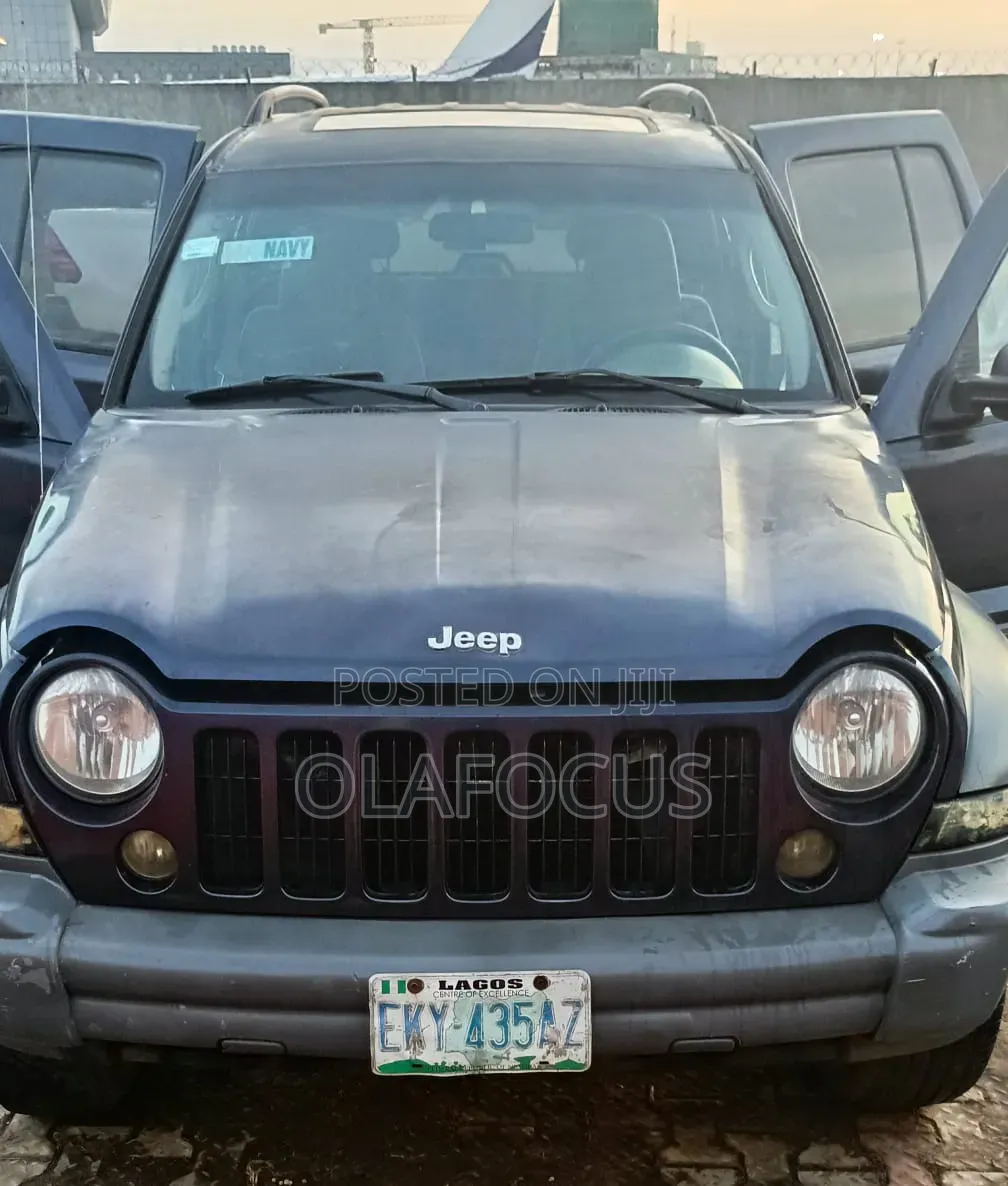 Jeep Liberty 2004 Blue