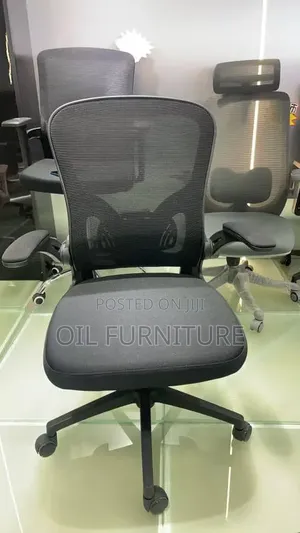 Premium Orthopedic Computer Desk Chair – Adjustable Lumbar Support