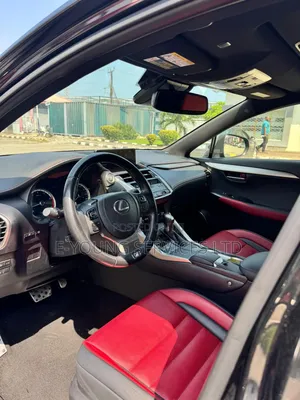 Lexus NX 2021 Gray
