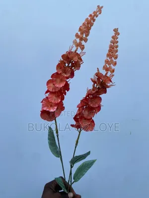 Orange Corn Long Stems Rentals Service