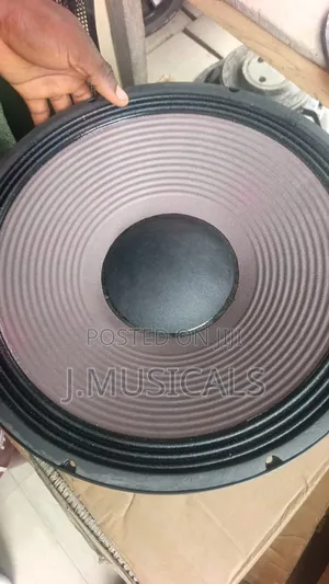 15" Big Capacity Naked Speakers (Power Rated)