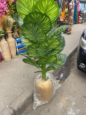 Outdoor and Indoor Decor Flower Available