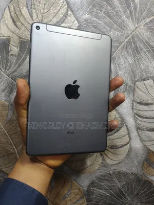 Apple iPad mini 5 64 GB Gray