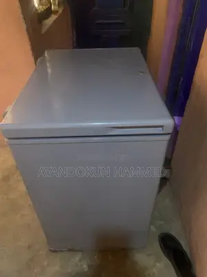 Thermocool Freezer