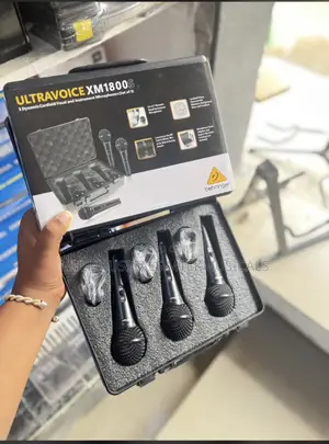 3 in One Wired Mic