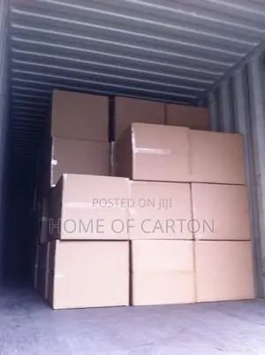 Plain Exporting Carton