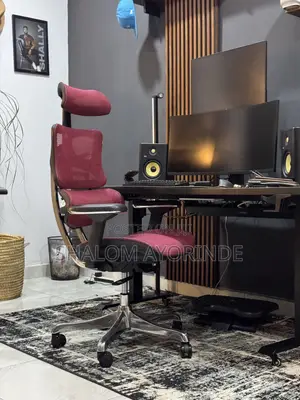 Premium Ergonomic Mesh Office Chair