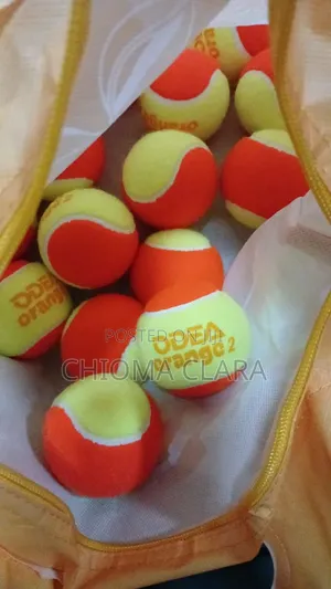 1 Dozen of Tennis Training Balls