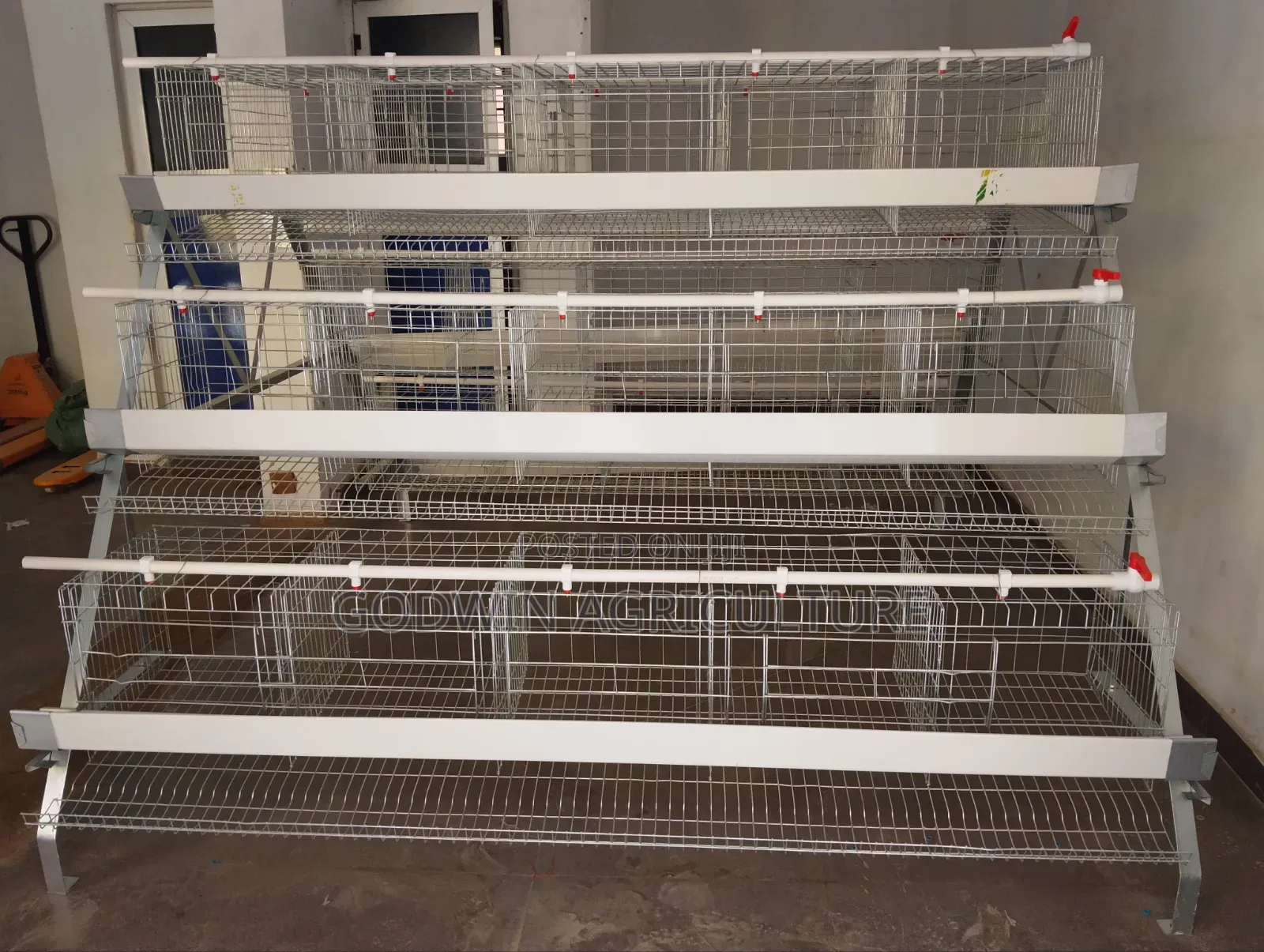 Imported Layers Cage (Hot Deap Galvanized)