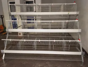 Imported Layers Cage (Hot Deap Galvanized)