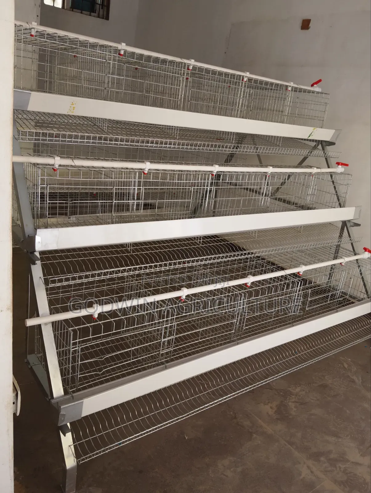 Imported Layers Cage (Hot Deap Galvanized)