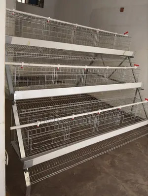 Imported Layers Cage (Hot Deap Galvanized)