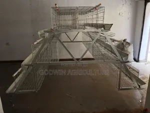 Imported Layers Cage (Hot Deap Galvanized)