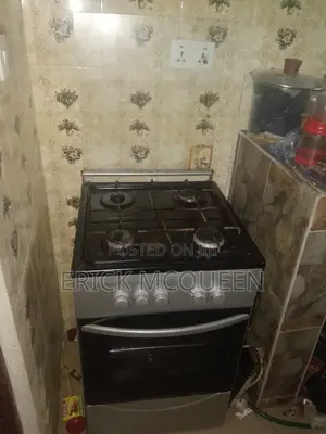 Oven Gas Cooker