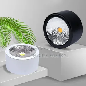 Best Quality Cob Down Light