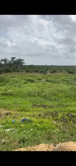 250plot of Land in a Serene Location