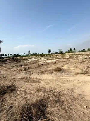 Citynest Phase 6
