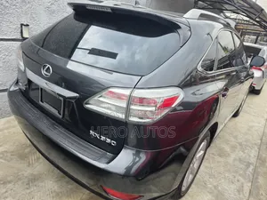 Lexus RX 2010 Gray