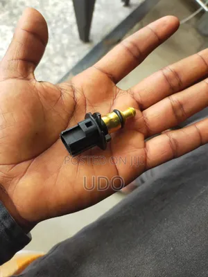 Temperature Sensor Dodge Johnny