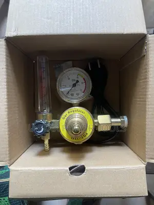 Co2 Regulator 220v