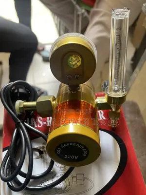 Co2 Regulator 220v