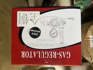 Co2 Regulator 220v