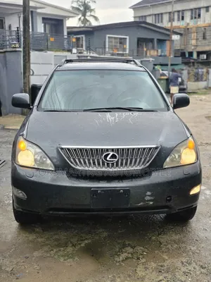 Lexus RX 2007 Gray