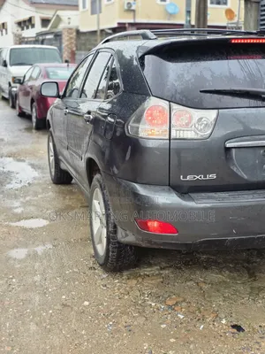 Lexus RX 2007 Gray