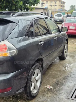 Lexus RX 2007 Gray