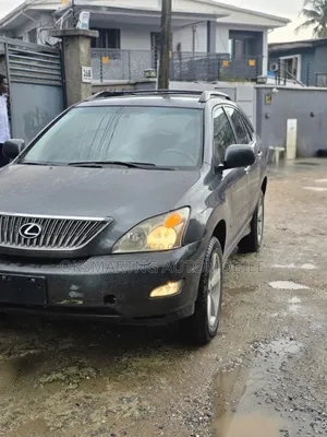 Lexus RX 2007 Gray