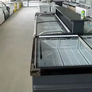 Commercial Island Freezer