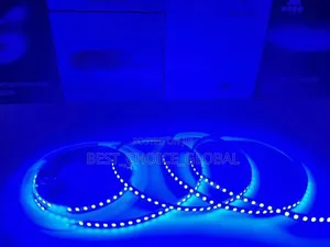 Led Strip Light 24v/8mm 120 Leds Lights Blue Color
