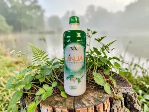 Support Healthy Immune Defense Year Round With Jinja Herbal