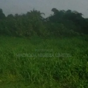A Well Located 700sqm Land for Sale