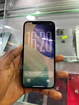 Apple iPhone 12 Pro Max 512 GB Black