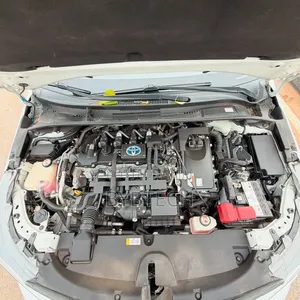 Toyota Corolla 2022 White