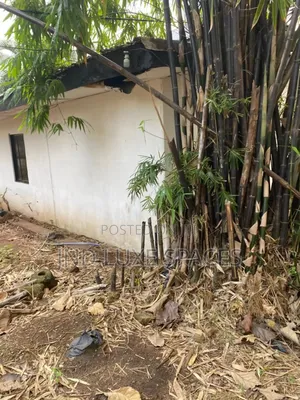 6bdrm Bungalow in Ikeja GRA for sale