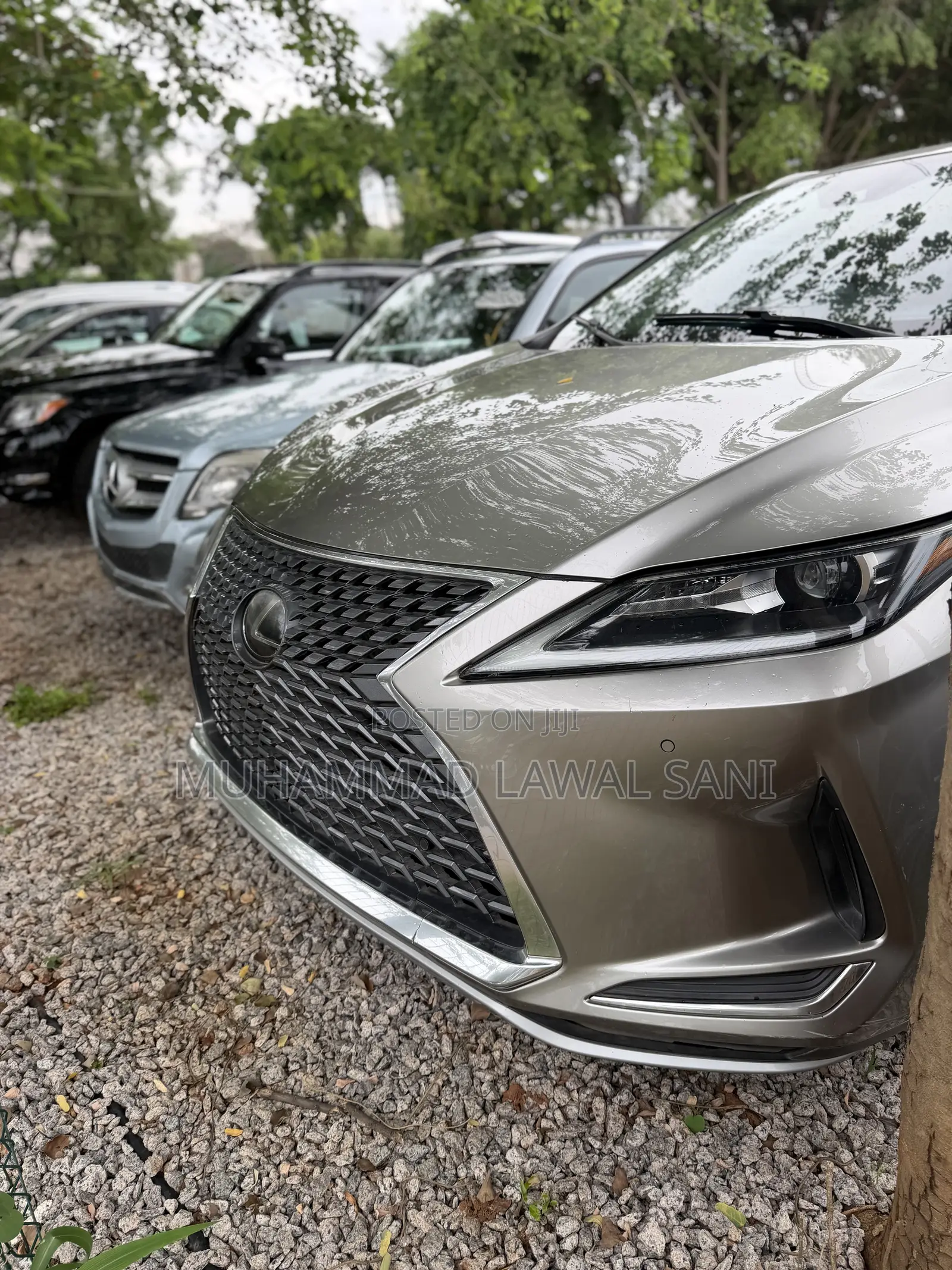 Lexus RX 2021 Gray