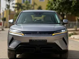BYD Yuan Up 32 kWh FWD 2024 Gray