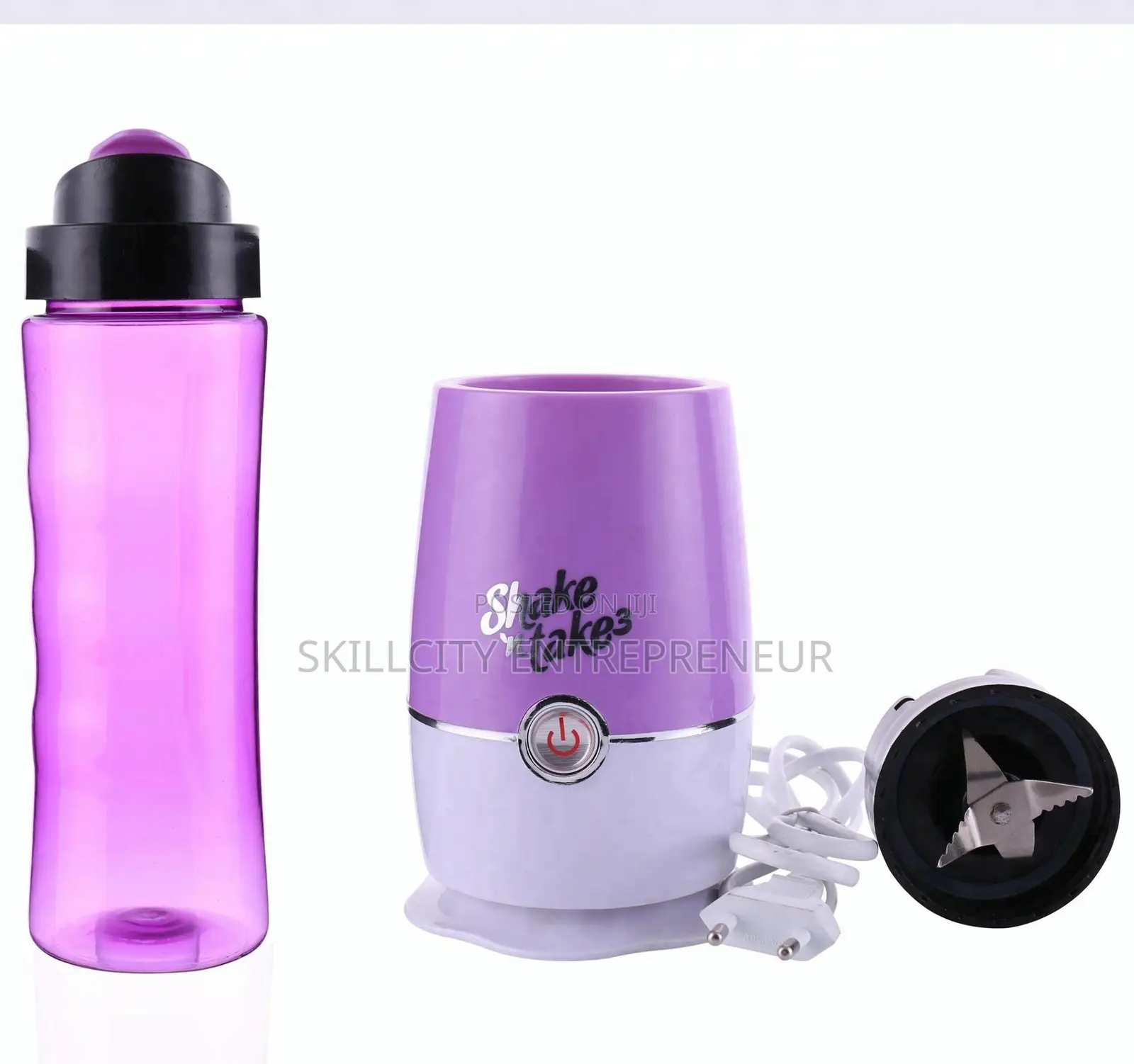 Shake N' Take Fruit Blender