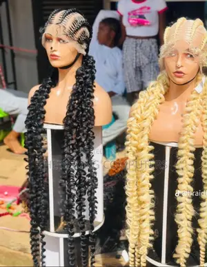 Braided Wig