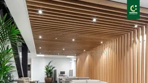 Wooden Ceiling and Office Space Design