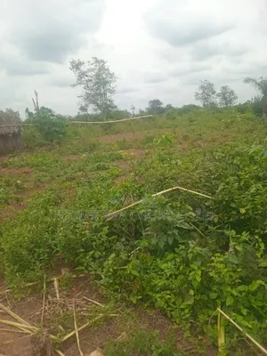 1.443 Acres of Land for Sale