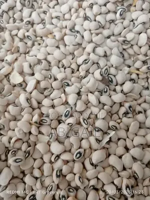 Iron Beans