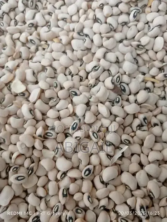 Iron Beans