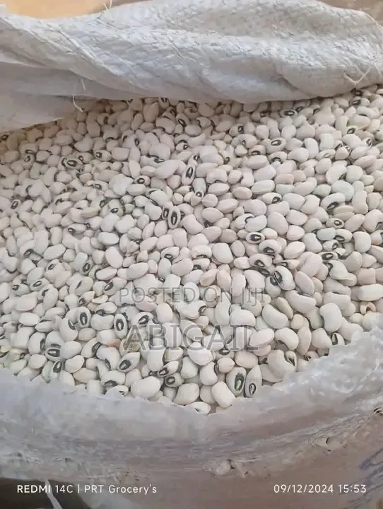 Iron Beans